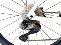 IMG_3813.jpeg