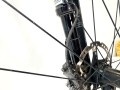 IMG_4900.jpeg